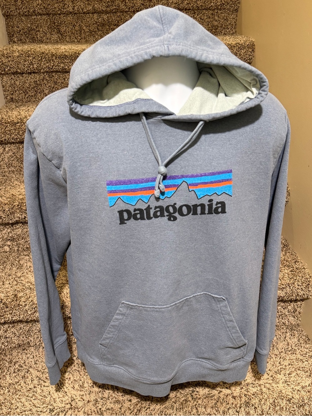 Flawless men’s *PATAGONIA Uprisal* pullover hoodie sweatshirt - L - authentic!
